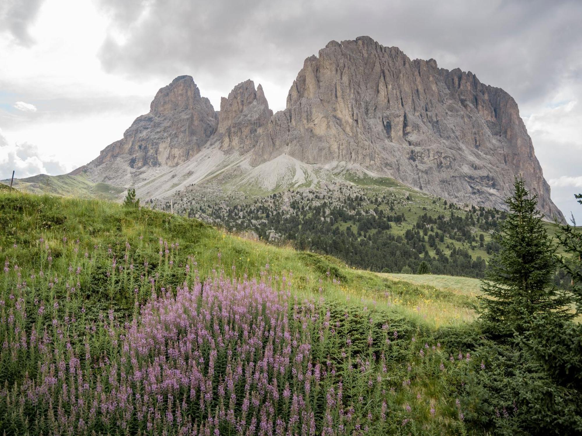 Charme Hotel Uridl Santa Cristina Val Gardena ภายนอก รูปภาพ